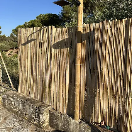 Cocciu D'amuri - * Scopello (Sicily)